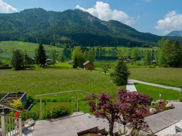 Channel-IMG-Wiesenhof