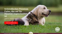 Screenshot 2025-03-10 163534