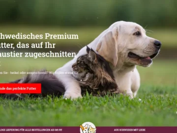 Screenshot 2025-03-10 163534