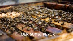 Bienenführung Kronhofer – Hotel Gartnerkofel