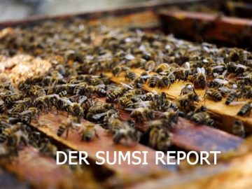 Bienenführung Kronhofer – Hotel Gartnerkofel