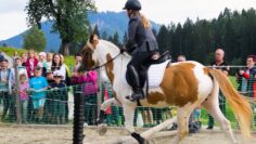 Erlebnishof Tschabitscher | Reiterfest