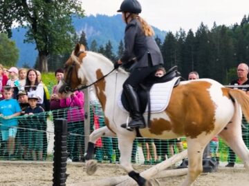 Erlebnishof Tschabitscher | Reiterfest