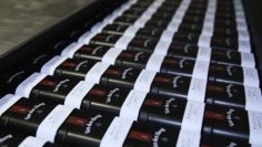 GEWÜRZE VAN DEN BERG – Interview Fabian Held