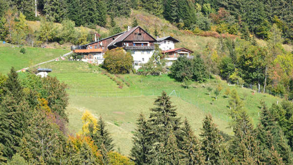 Gladerhof