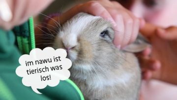 NAWU – Sommer Tierfreunde