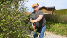 Privat: All In Mobility – Gartenpflege