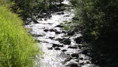 Privat: Alm-Resort Frühauf | Lamawanderung mit Rudi