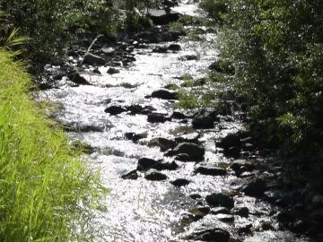 Privat: Alm-Resort Frühauf | Lamawanderung mit Rudi