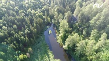 Privat: Holzbau Unterrainer – Holzbau aus Leidenschaft