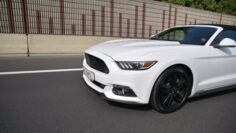 Private: Ford Mustang