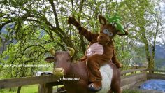 Private: Nawu’s Kindehotel | Wir Ã¶ffnen wieder!