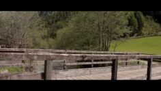 Private: TB – Videoprodukltionen