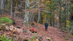 Private: Wortgewandt Christin BÃ¶sch