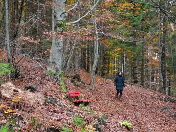 Private: Wortgewandt Christin BÃ¶sch