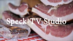Speckfest 2023 – TV Studio am Samstag